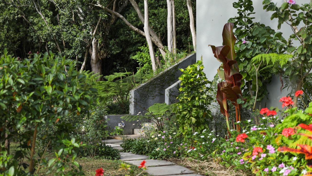 Photo of Others in Chamarel