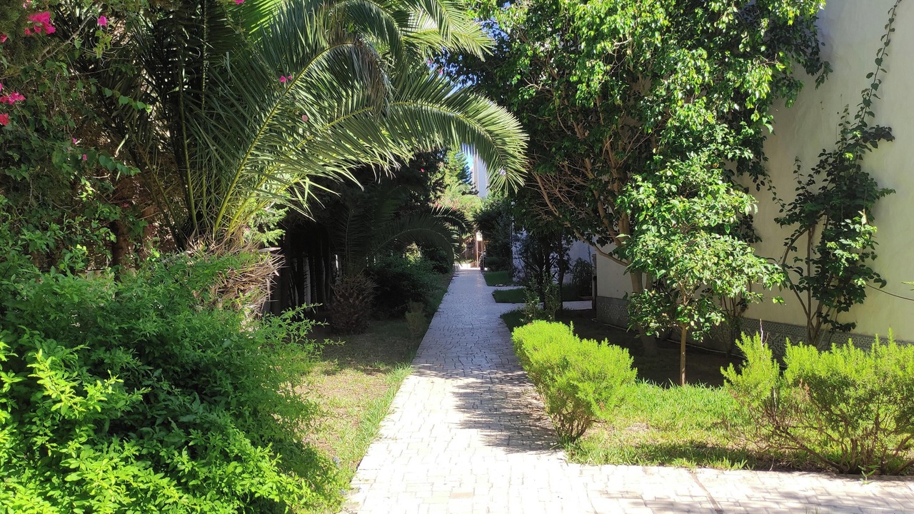 Photo of Outdoor in Yasmine