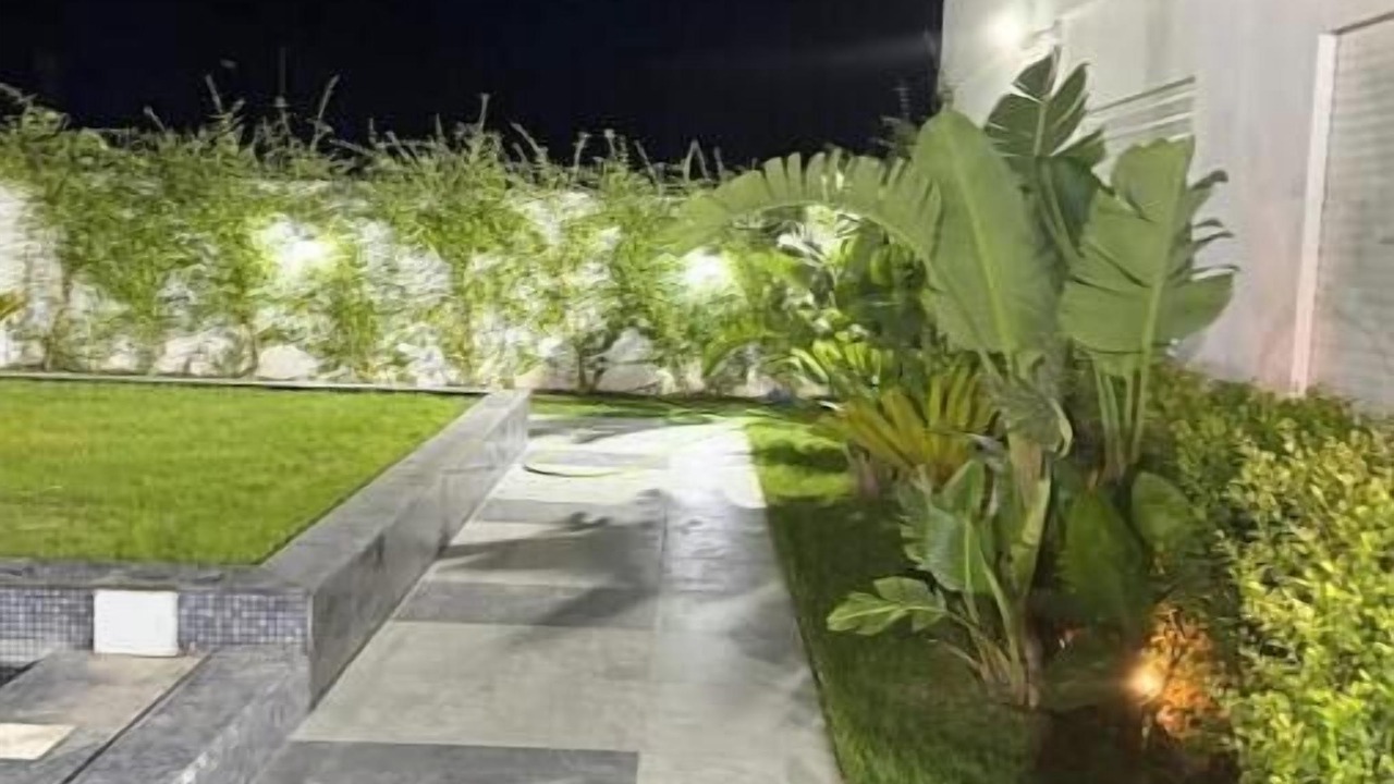 Photo of Outdoor in Tunis