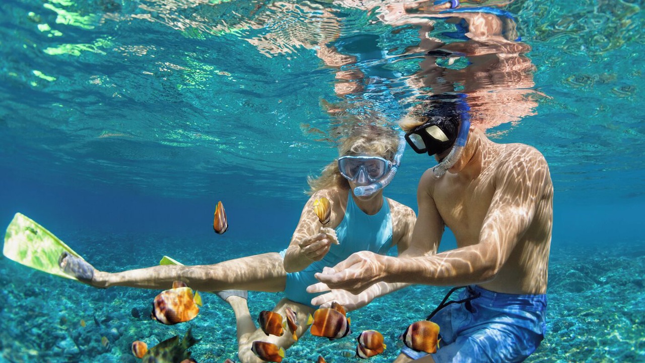 Photo of Others in Black River