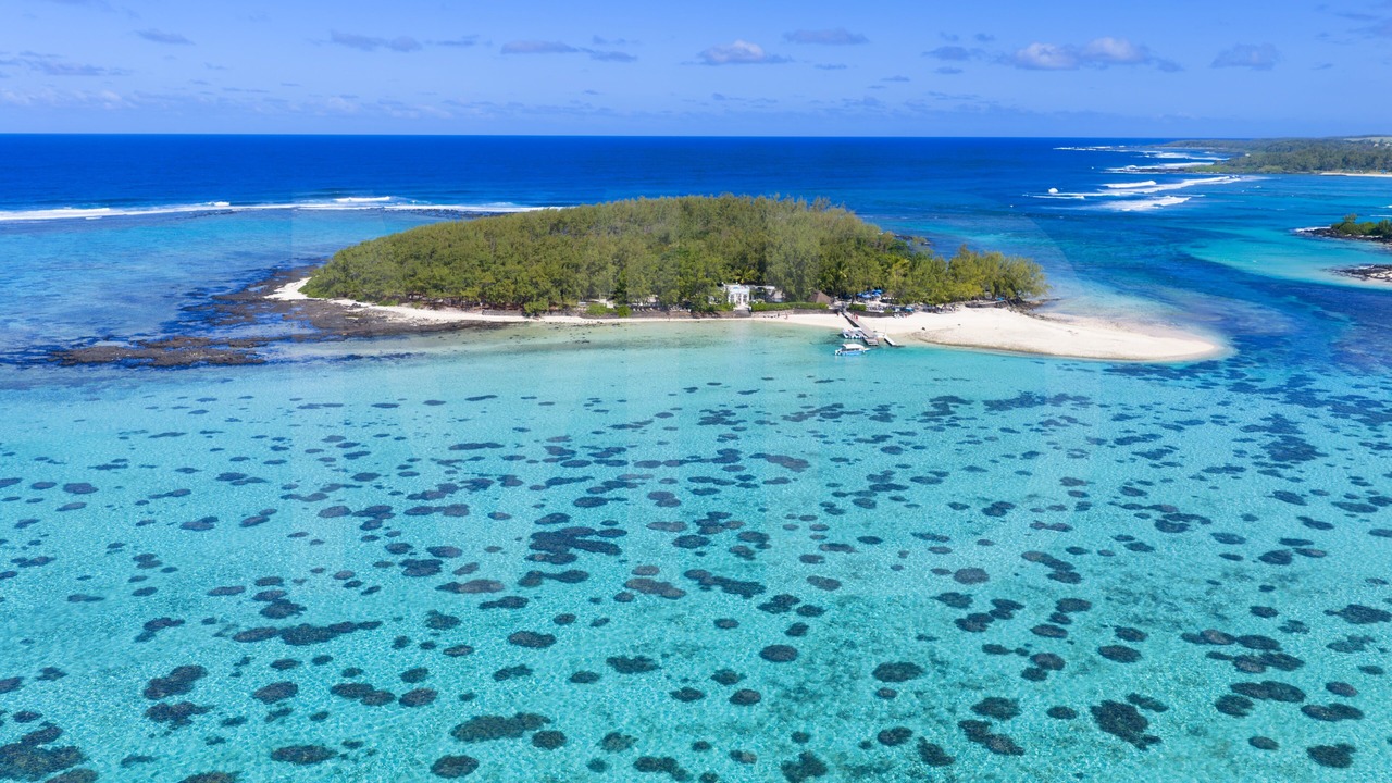 Photo of Others in Blue Bay