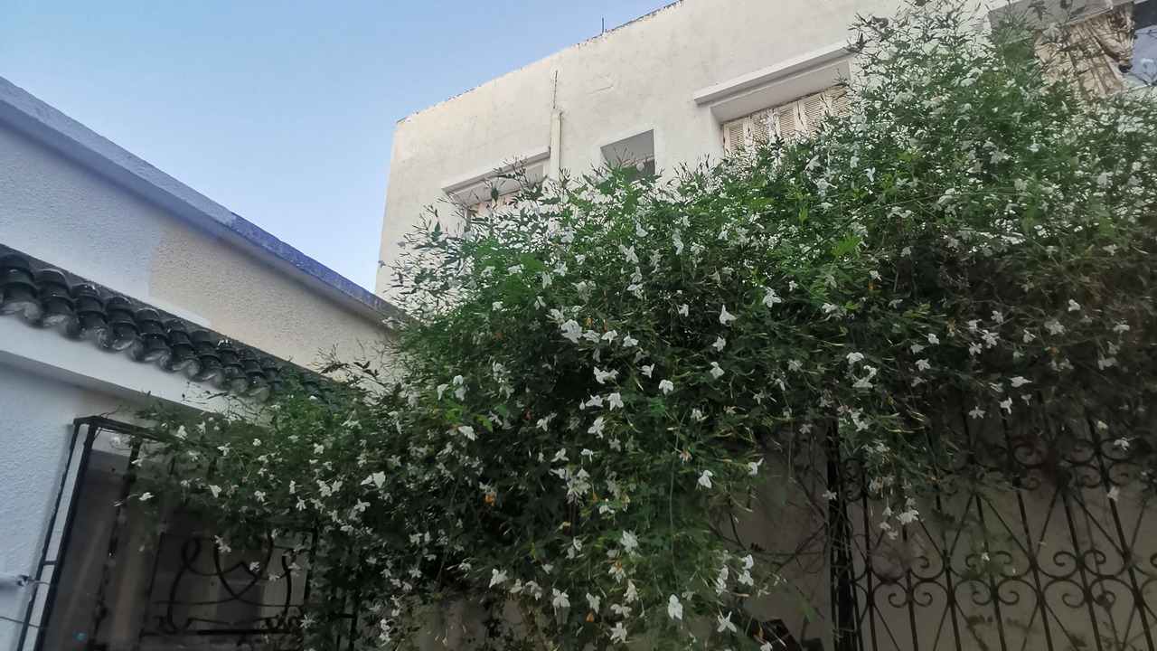 Photo of Outdoor in Bizerte
