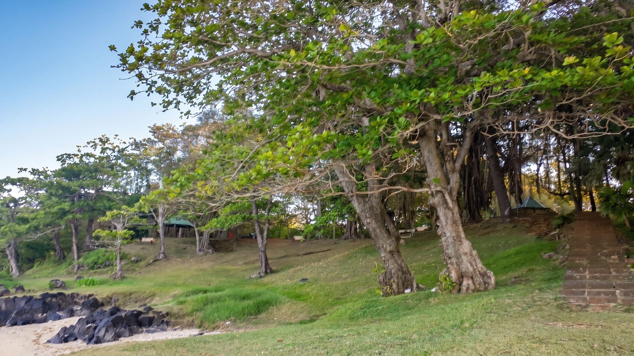 Photo of Outdoor in Souillac