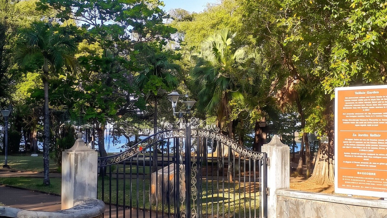 Photo of Others in Souillac