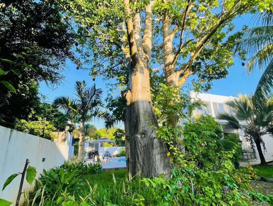 Photo of Outdoor in Cap Malheureux