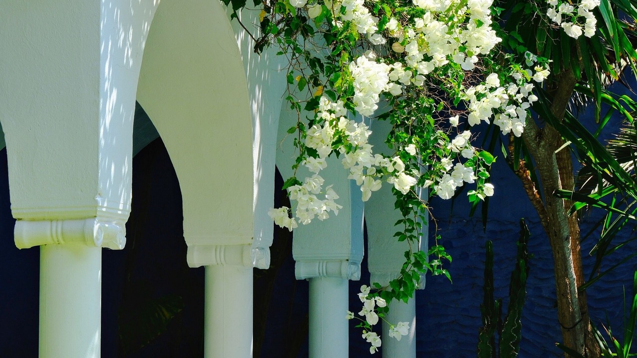 Photo of Outdoor in Hammamet