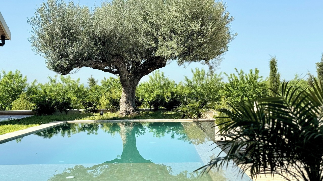 Photo of Outdoor in Jedaida