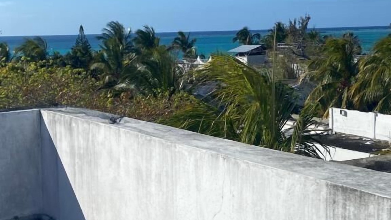 Photo of Others in Mont Choisy