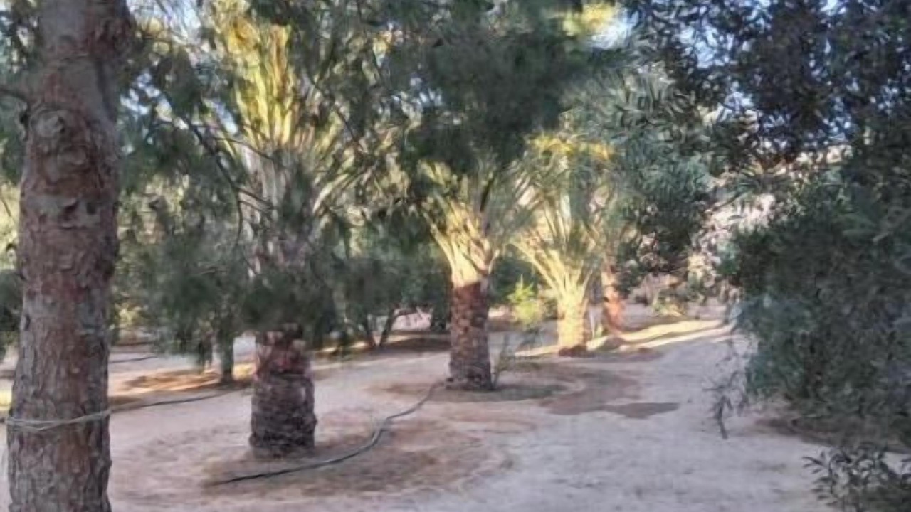 Photo of Others in Tataouine