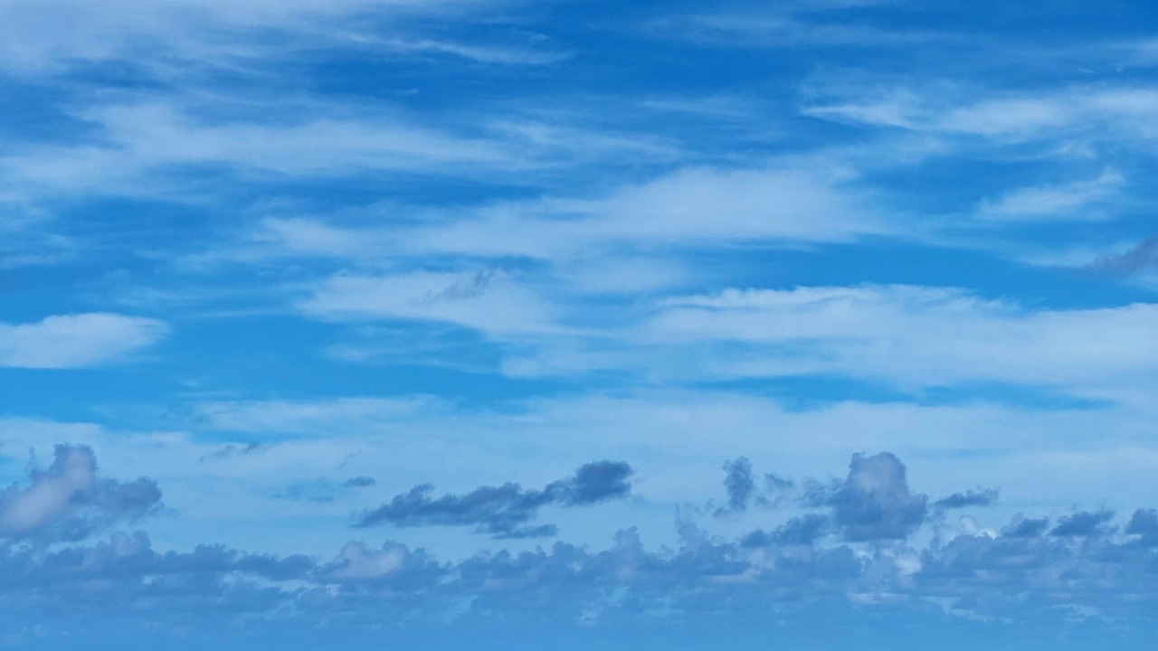 Photo of Others in Coromandel