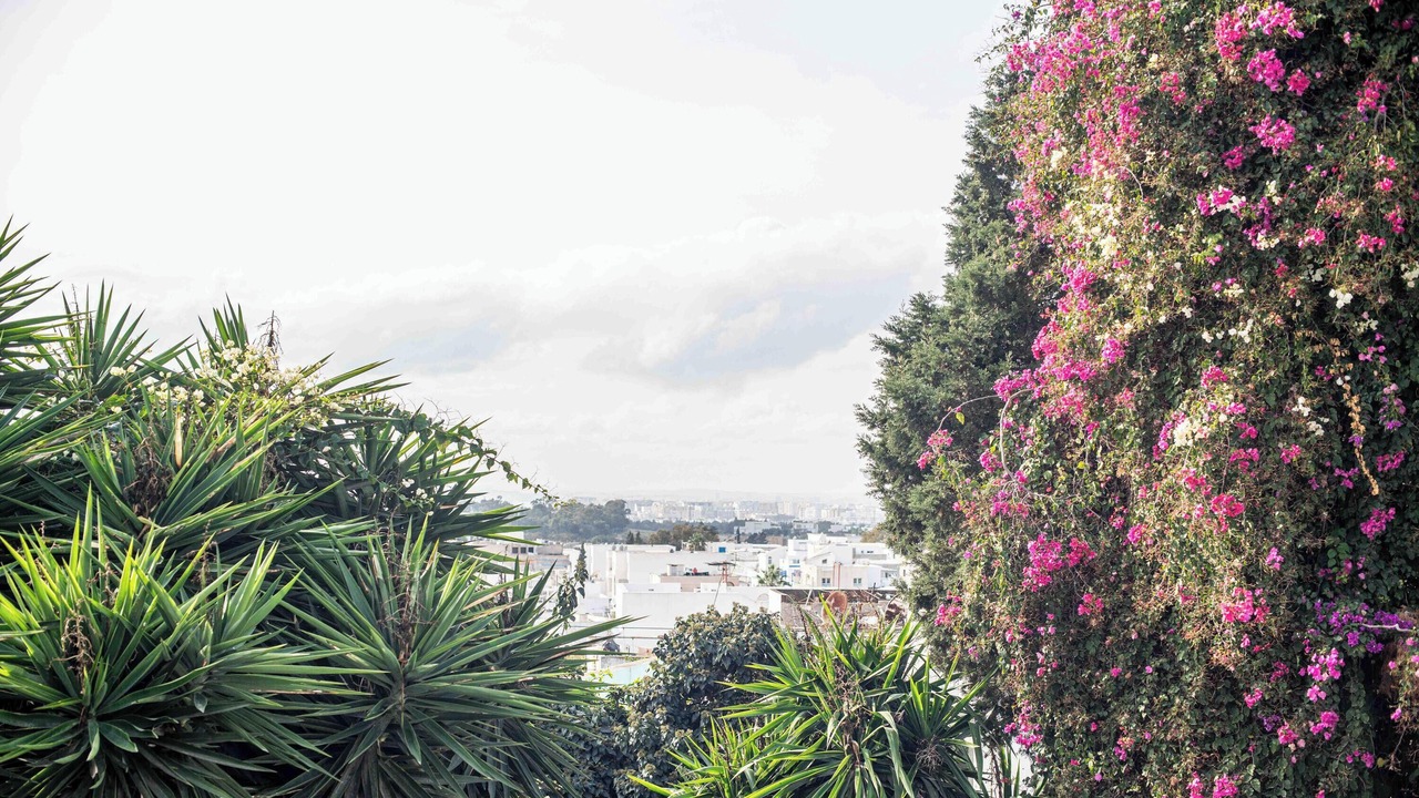 Photo of Others in Sidi Bou Said