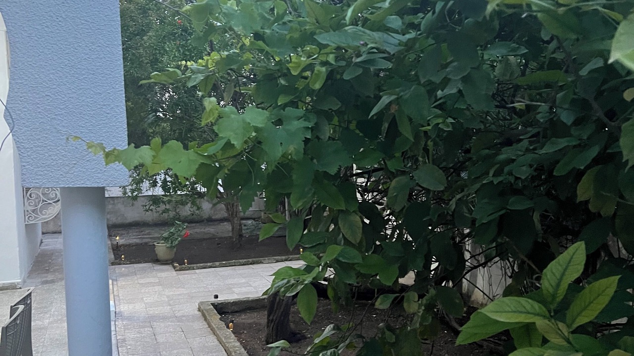 Photo of Outdoor in Ras Ettabia