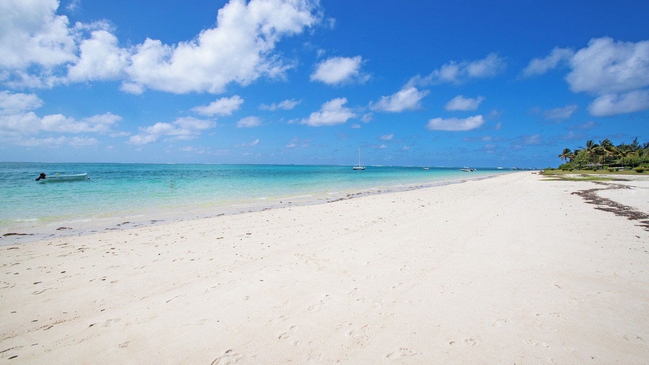 Photo of Others in Pointe D'esny