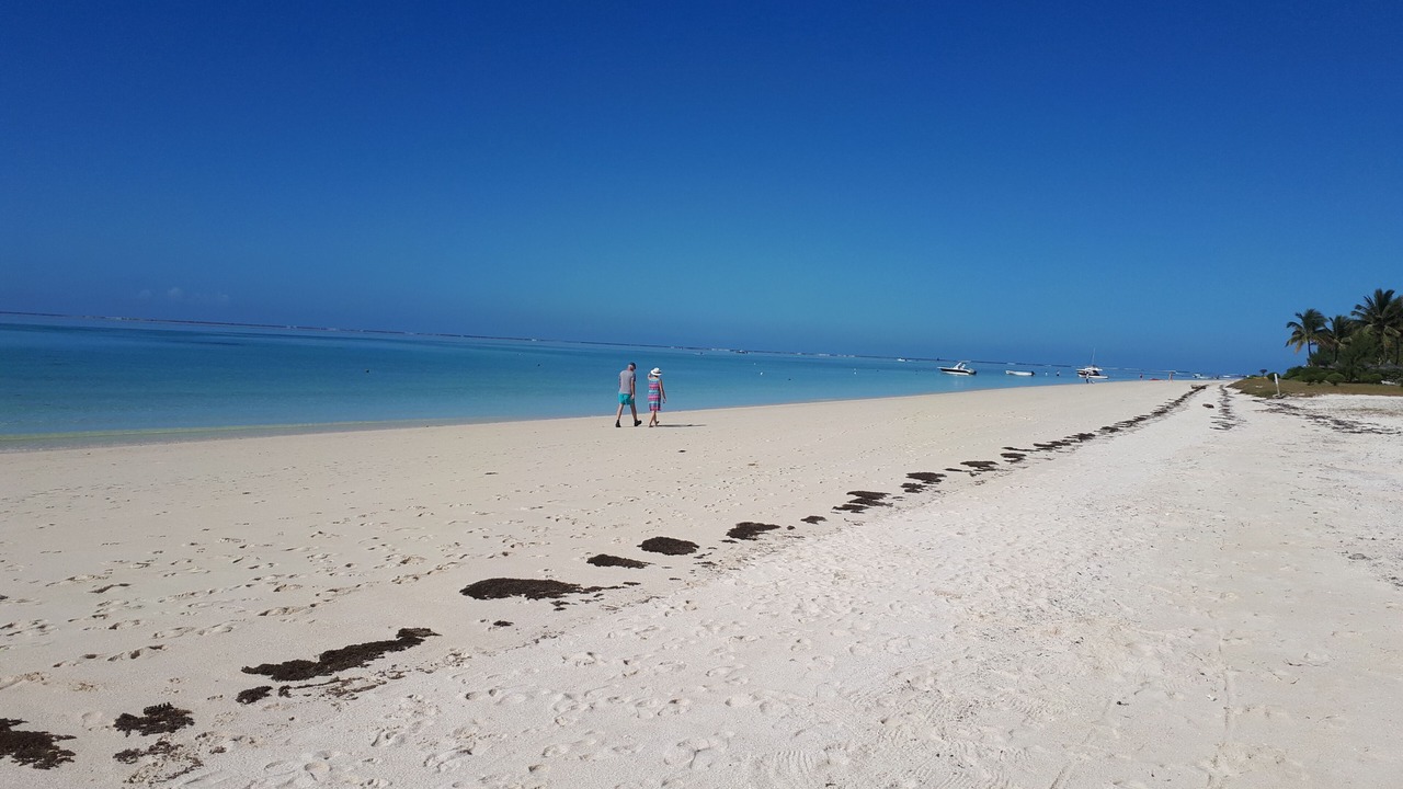 Photo of Others in Pointe D'esny