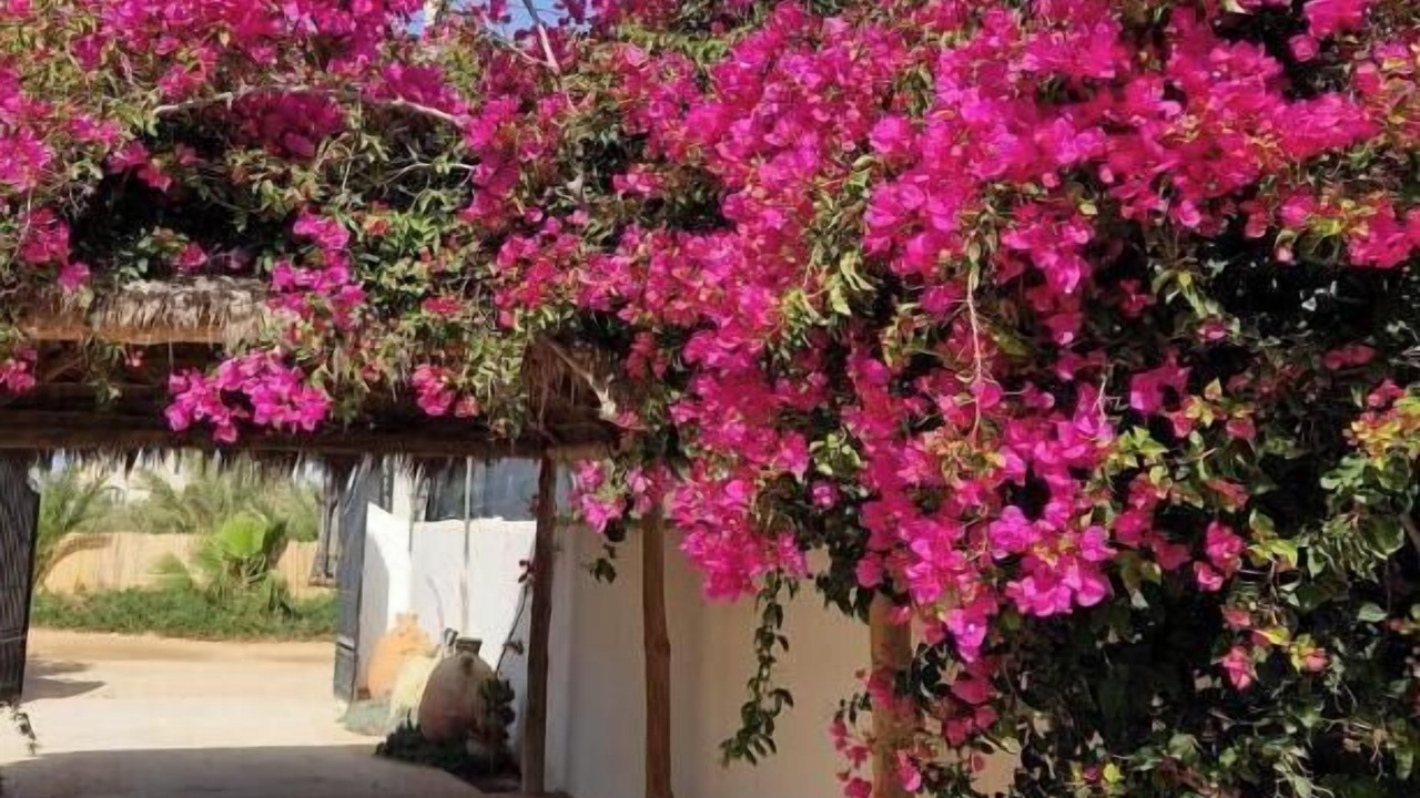 Photo of Outdoor in Aghir