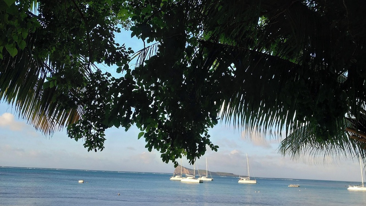 Photo of Others in Grand-Baie