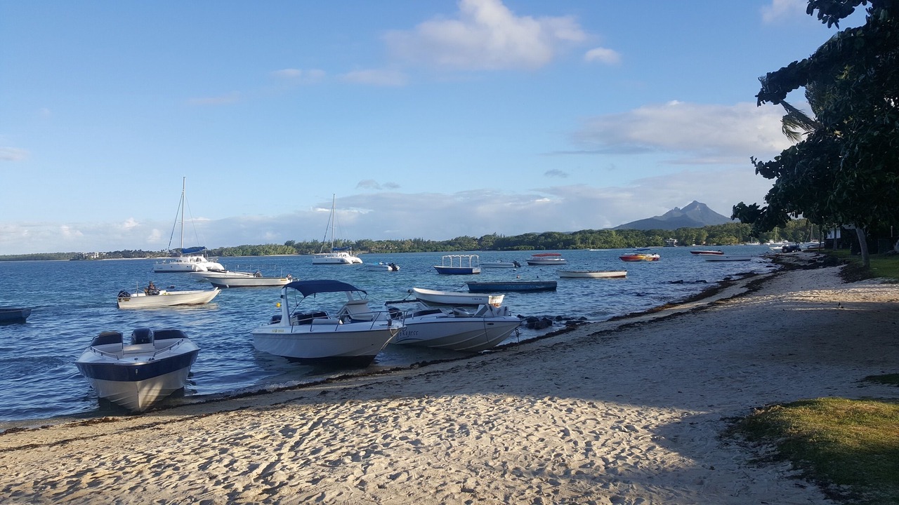 Photo of Others in Quatre Cocos