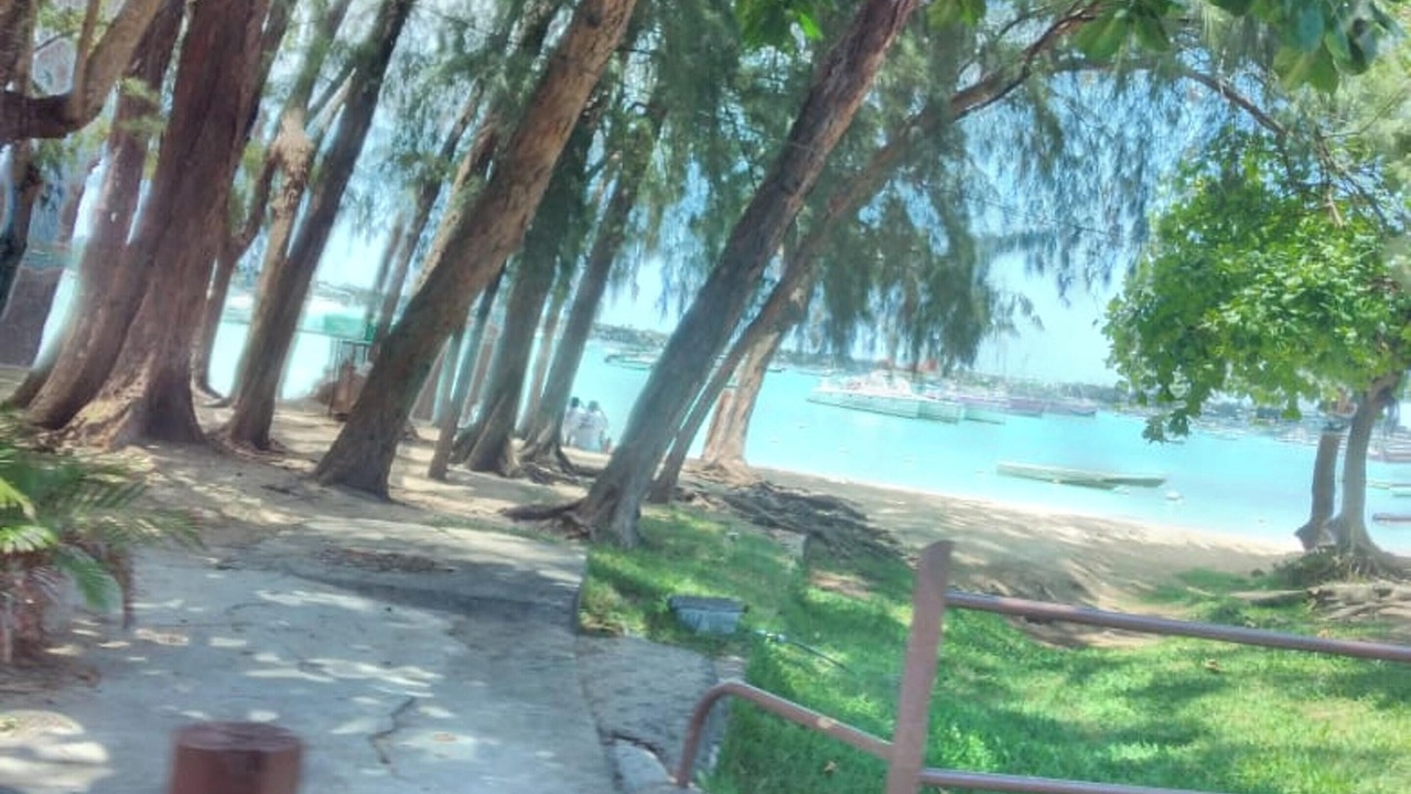 Photo of Others in Pereybere