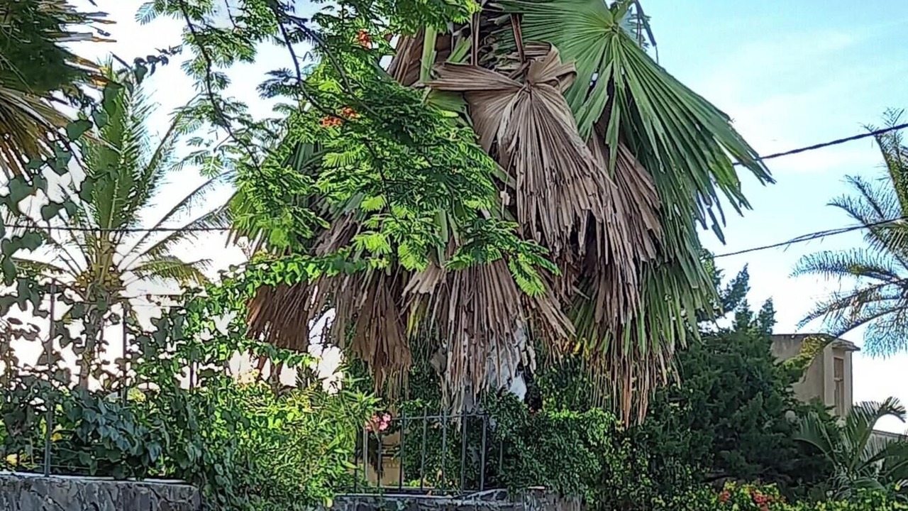Photo of Outdoor in Grand Gaube
