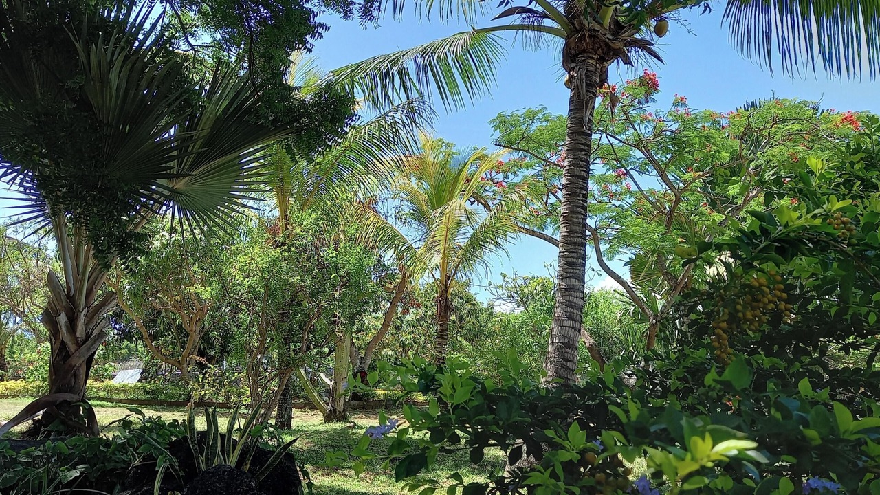 Photo of Outdoor in Grand Gaube