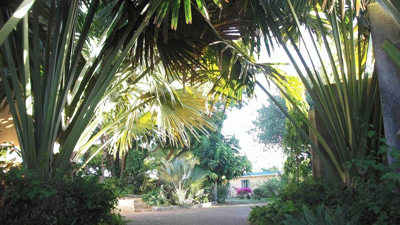 Photo of Others in Grand Gaube