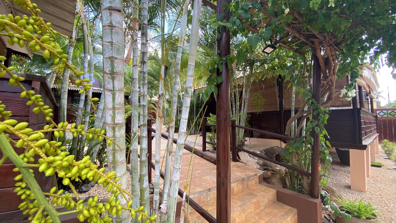 Photo of Outdoor in Albion