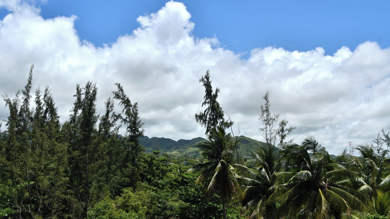 Photo of Others in Surinam
