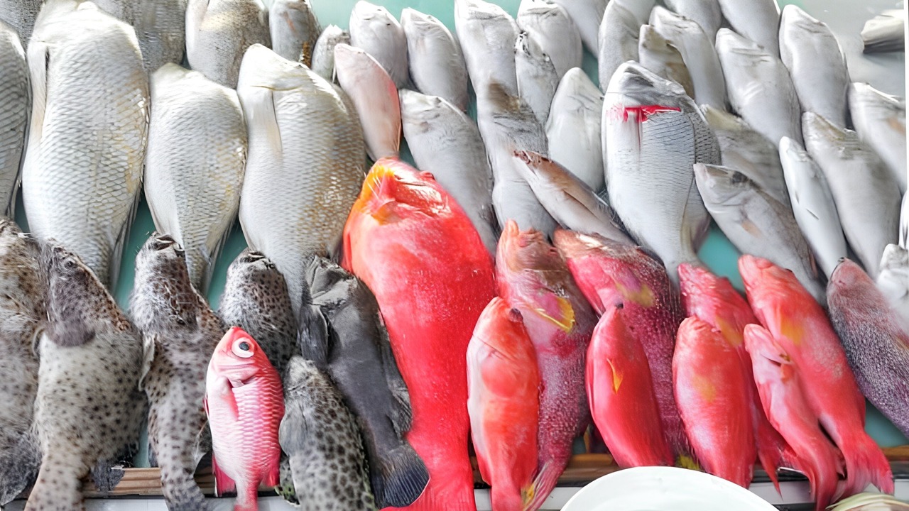 Photo of Others in Grand-Baie