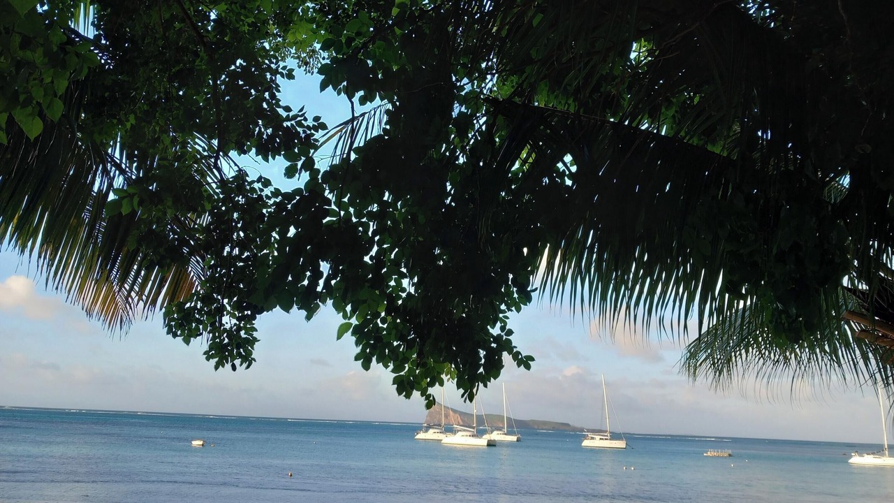 Photo of Others in Grand-Baie
