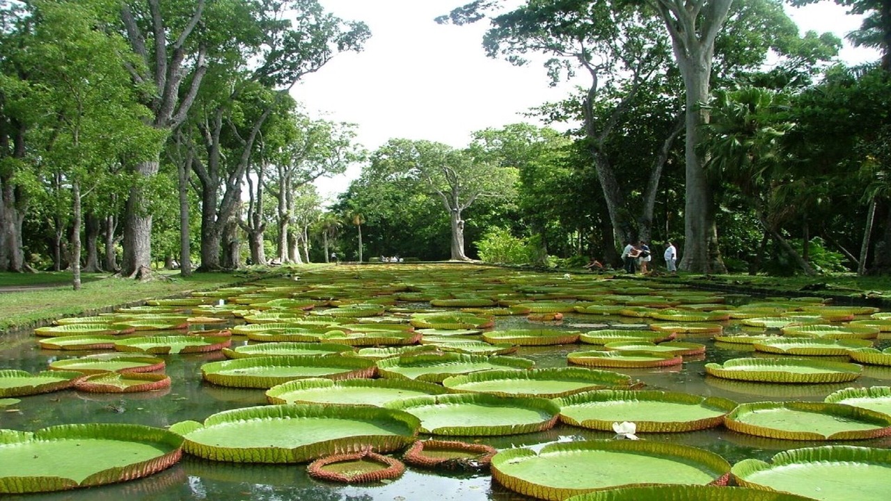 Photo of Outdoor in Trou aux Biches