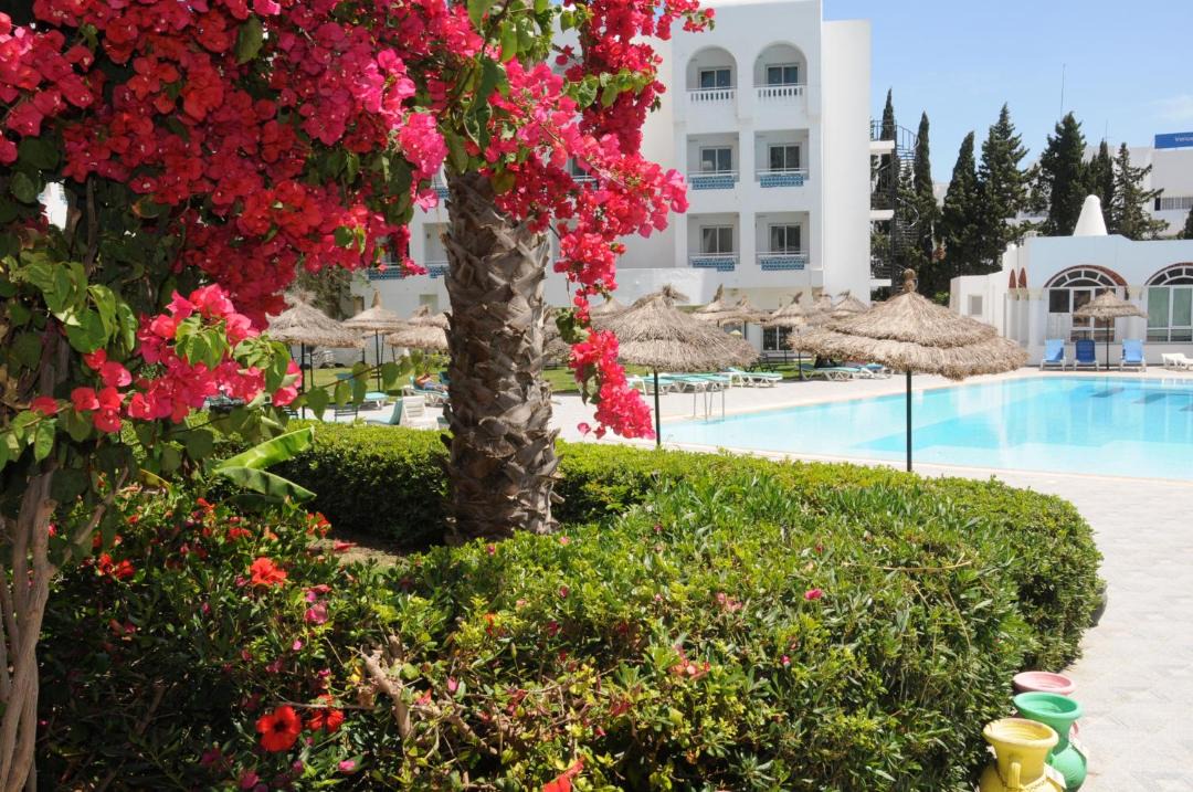 Photo of Others in Hammamet