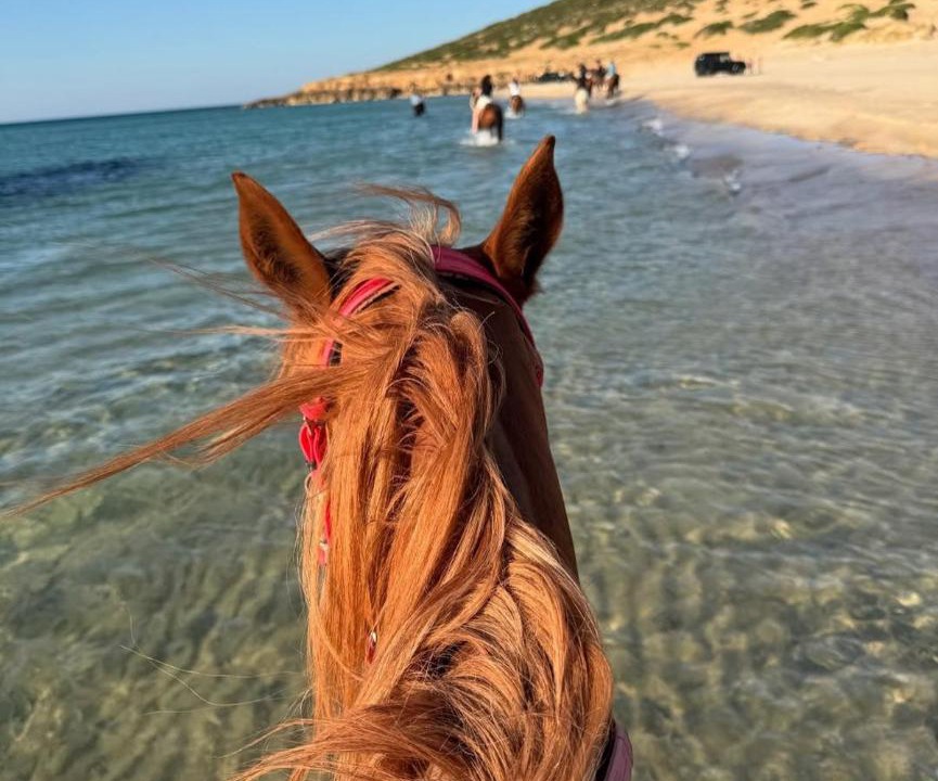 Photo of Others in Bizerte