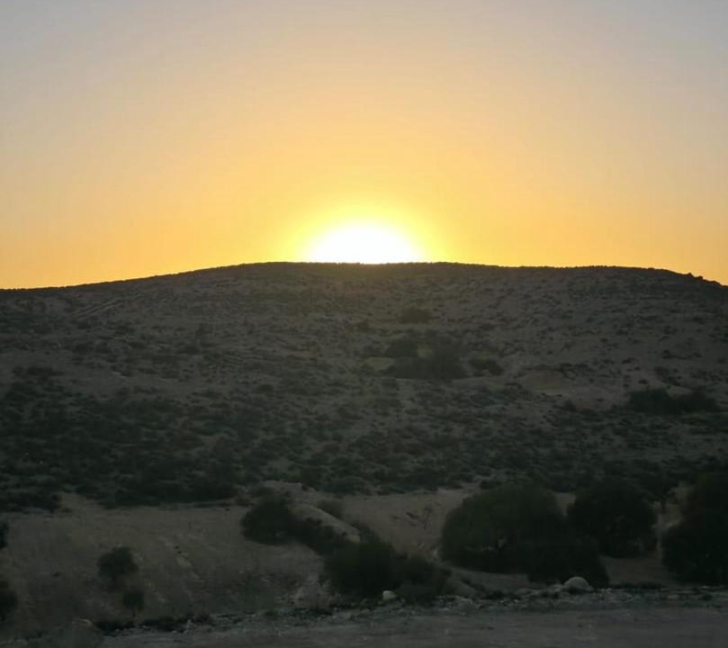 Photo of Others in Mareth