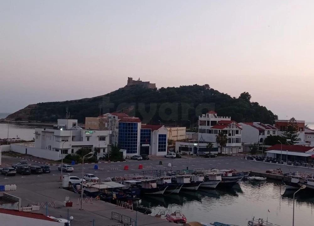 Photo of Others in Tabarka