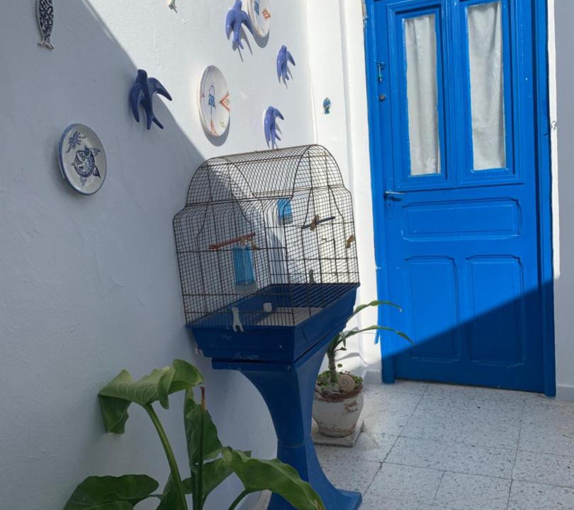 Photo of Others in Sidi Bou Said