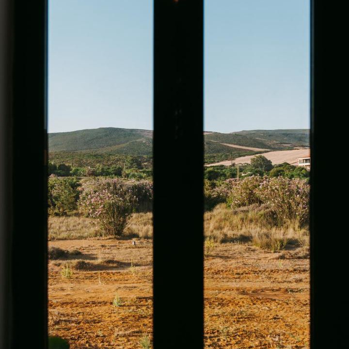 Photo of Others in Bizerte Sud