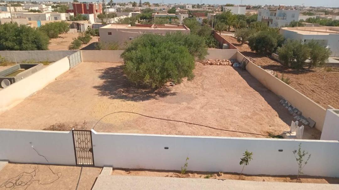 Photo of Others in Mellita