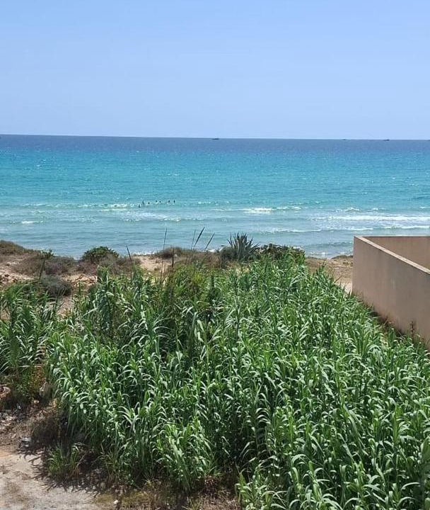 Photo of Others in Ksour Essaf