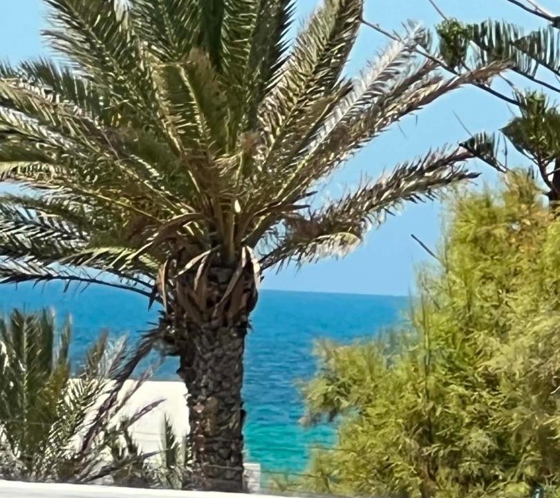 Photo of Others in Playa Sidi Mehrez