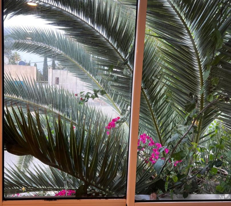 Photo of Others in Eastern Hammamet