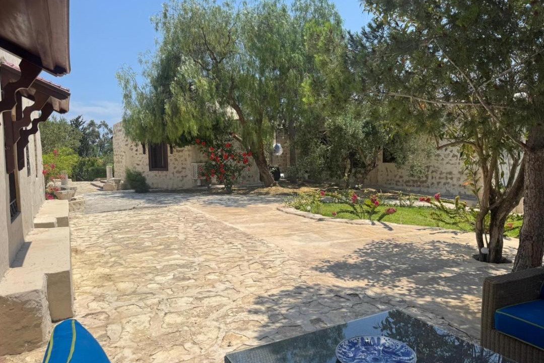 Photo of Others in Hammamet