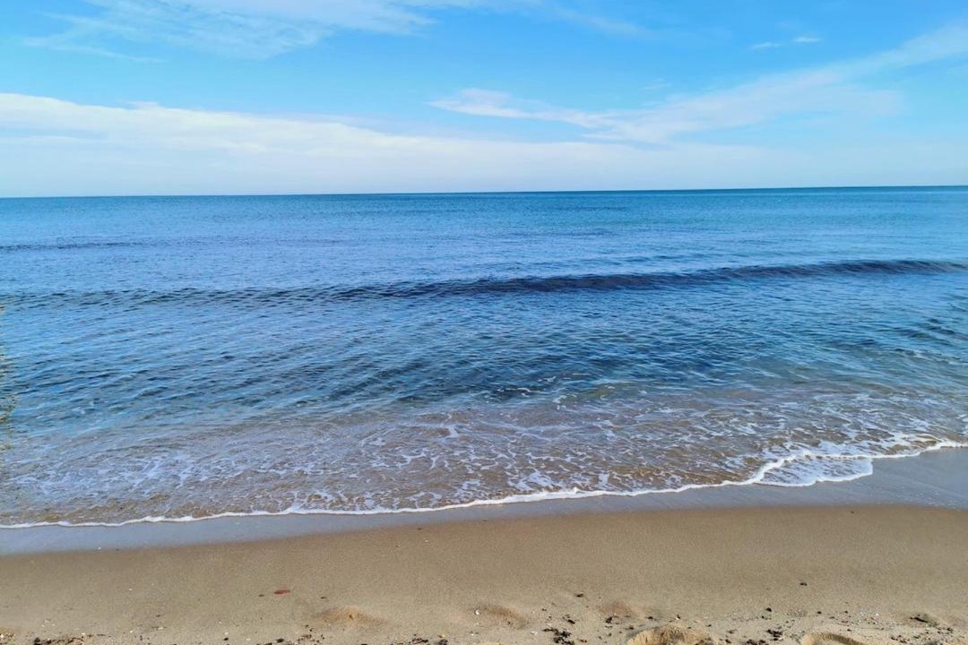 Photo of Others in La Marsa