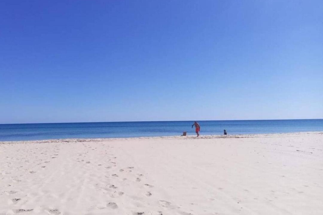 Photo of Others in Hammamet Sud