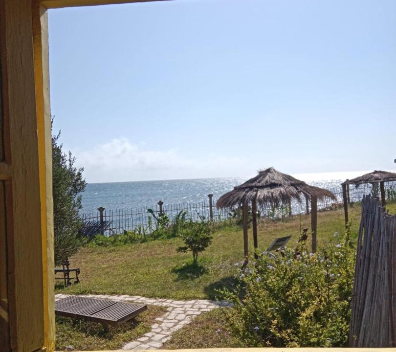 Photo of Others in Aousja