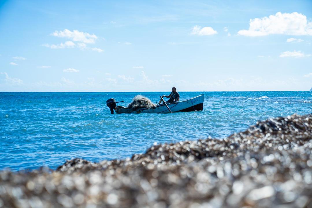 Photo of Others in Aousja