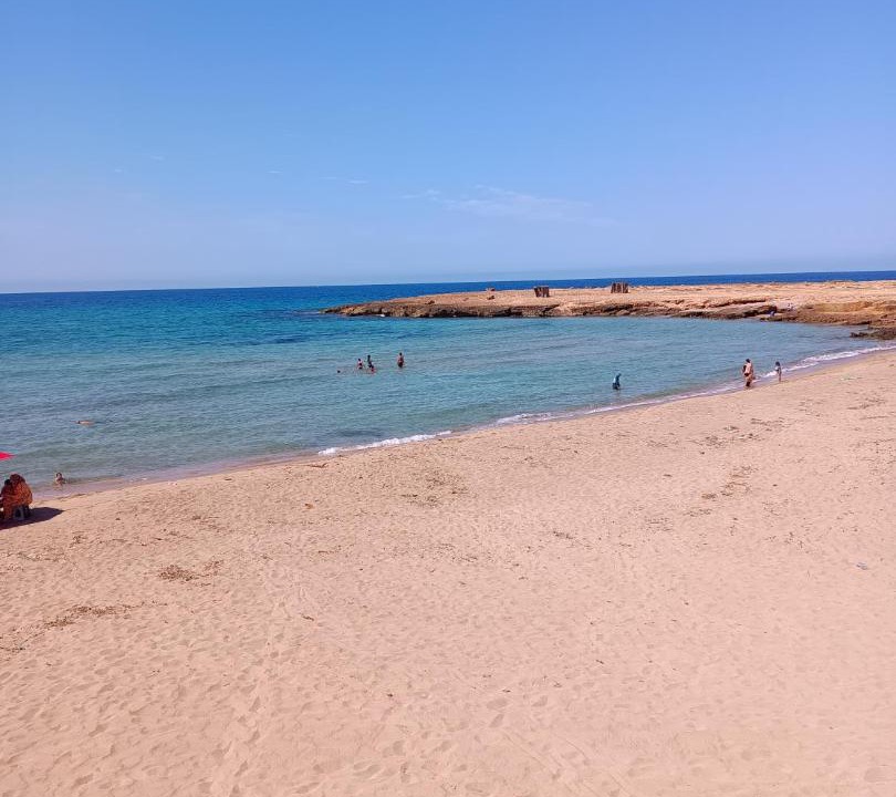 Photo of Others in El Haouaria