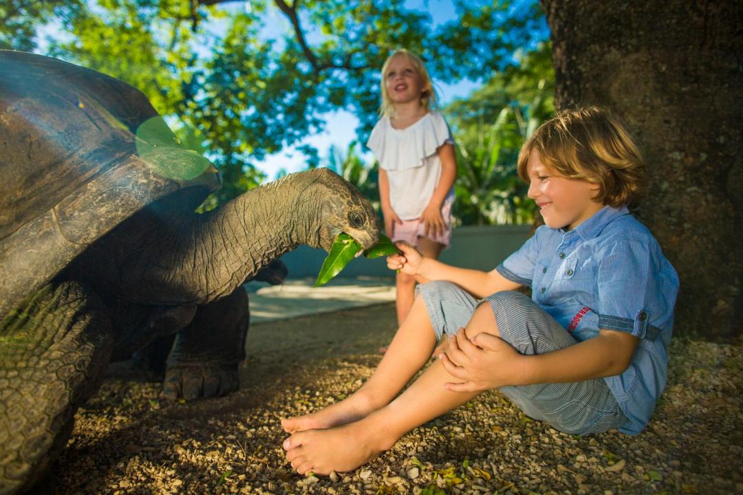 Photo of Others in Balaclava