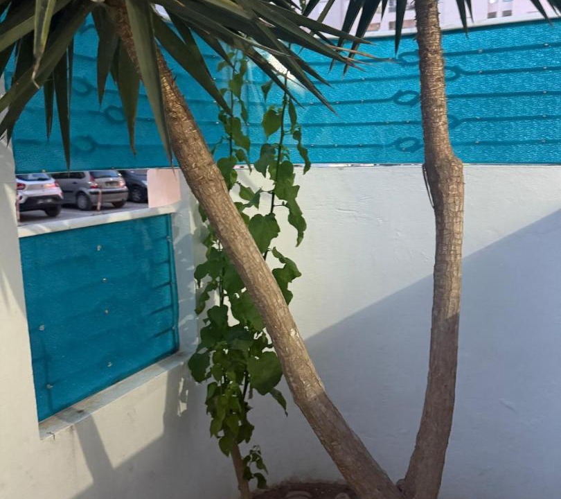 Photo of Others in Cite Les Palmeraies