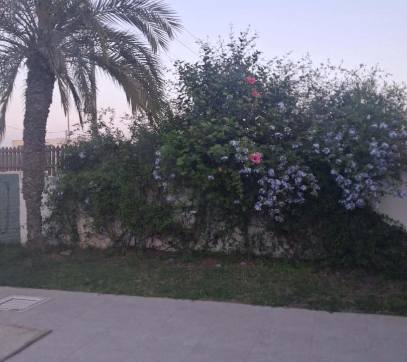 Photo of Others in Arkou