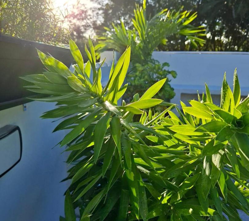 Photo of Outdoor in Moka